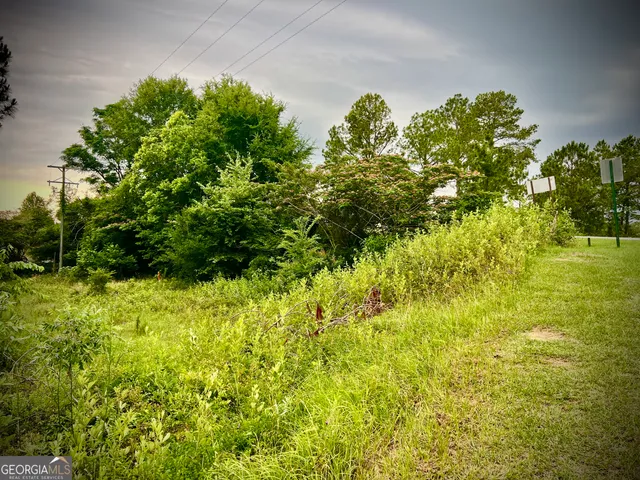 $42,500 | 0 Walke Dairy Road, Dublin, GA 31021