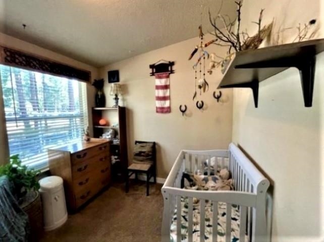 449 Main Street Calpine, CA 96124 - Photo 11 of 19 Gallery Image 11