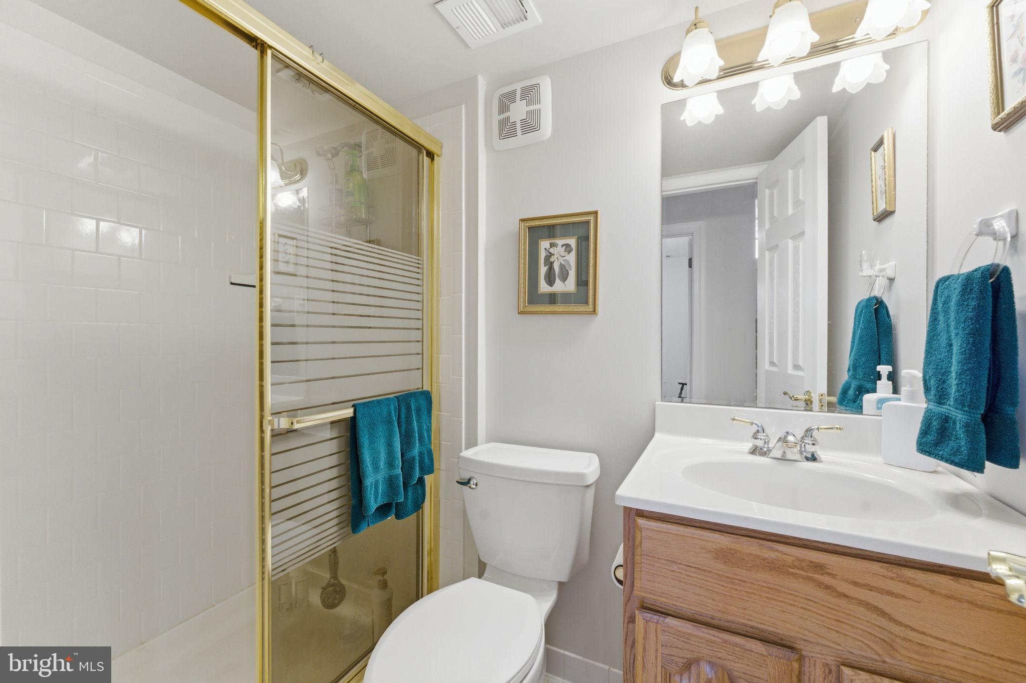 6163 Georgetown Road Broad Run, VA 20137 - Photo 49 of 94 a bathroom with a sink a toilet and shower