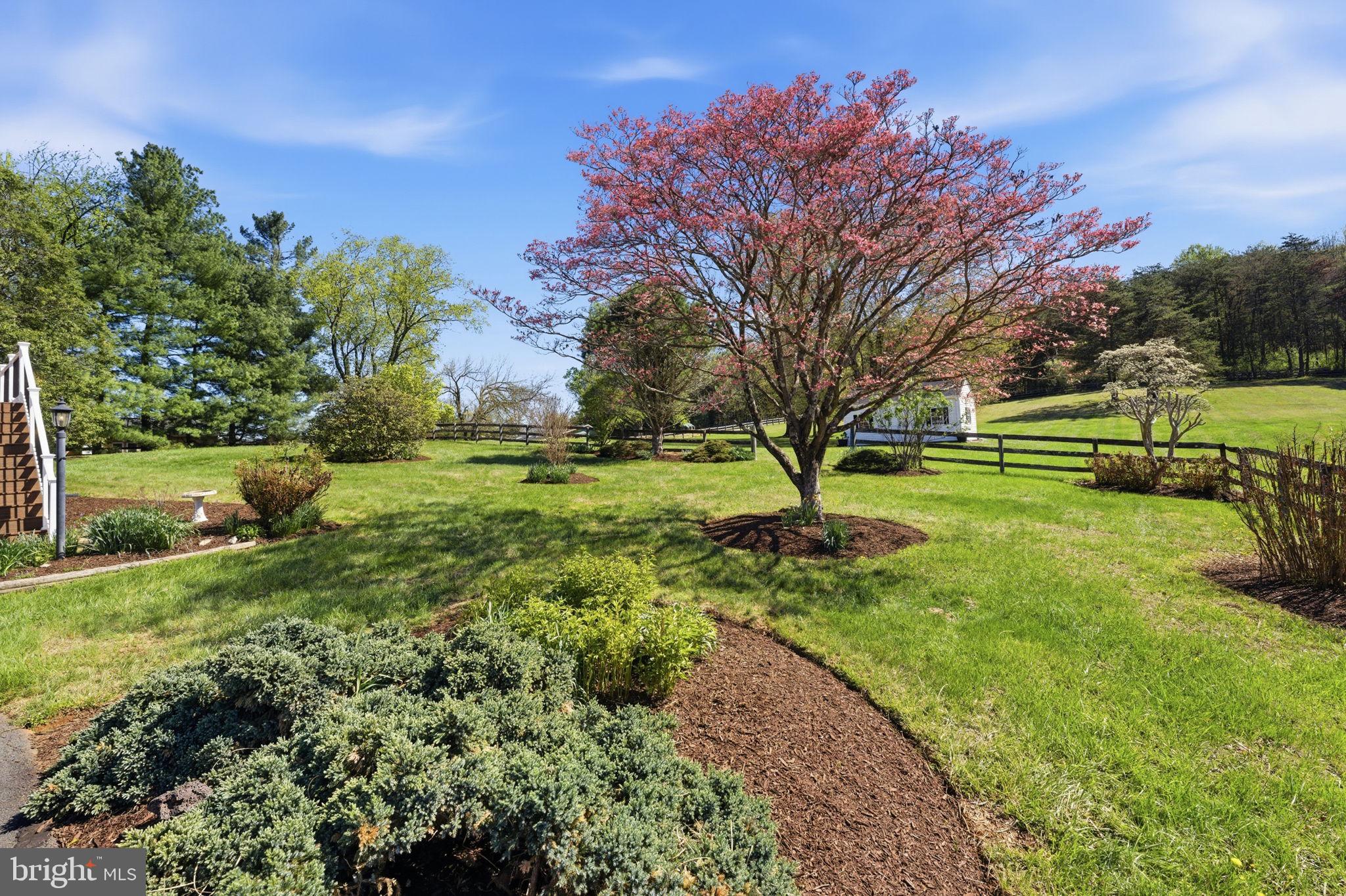 6163 Georgetown Road Broad Run, VA 20137 - Photo 61 of 94 a view of a park with large trees