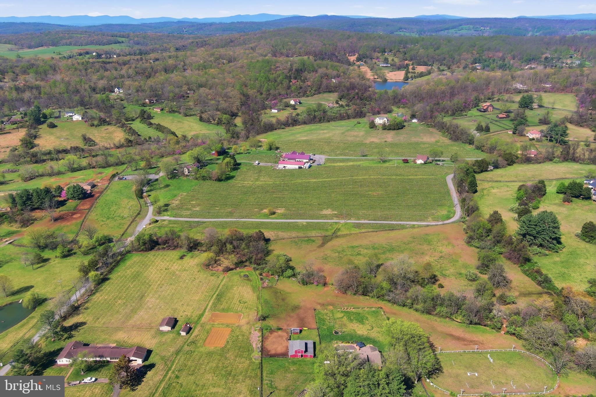 6163 Georgetown Road Broad Run, VA 20137 - Photo 66 of 94 an aerial view of residential houses with outdoor space and trees