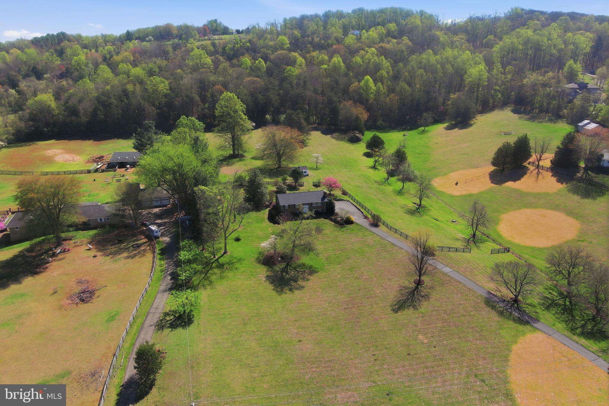 6163 Georgetown Road Broad Run, VA 20137 - Photo 70 of 94 a view of a swimming pool with a yard