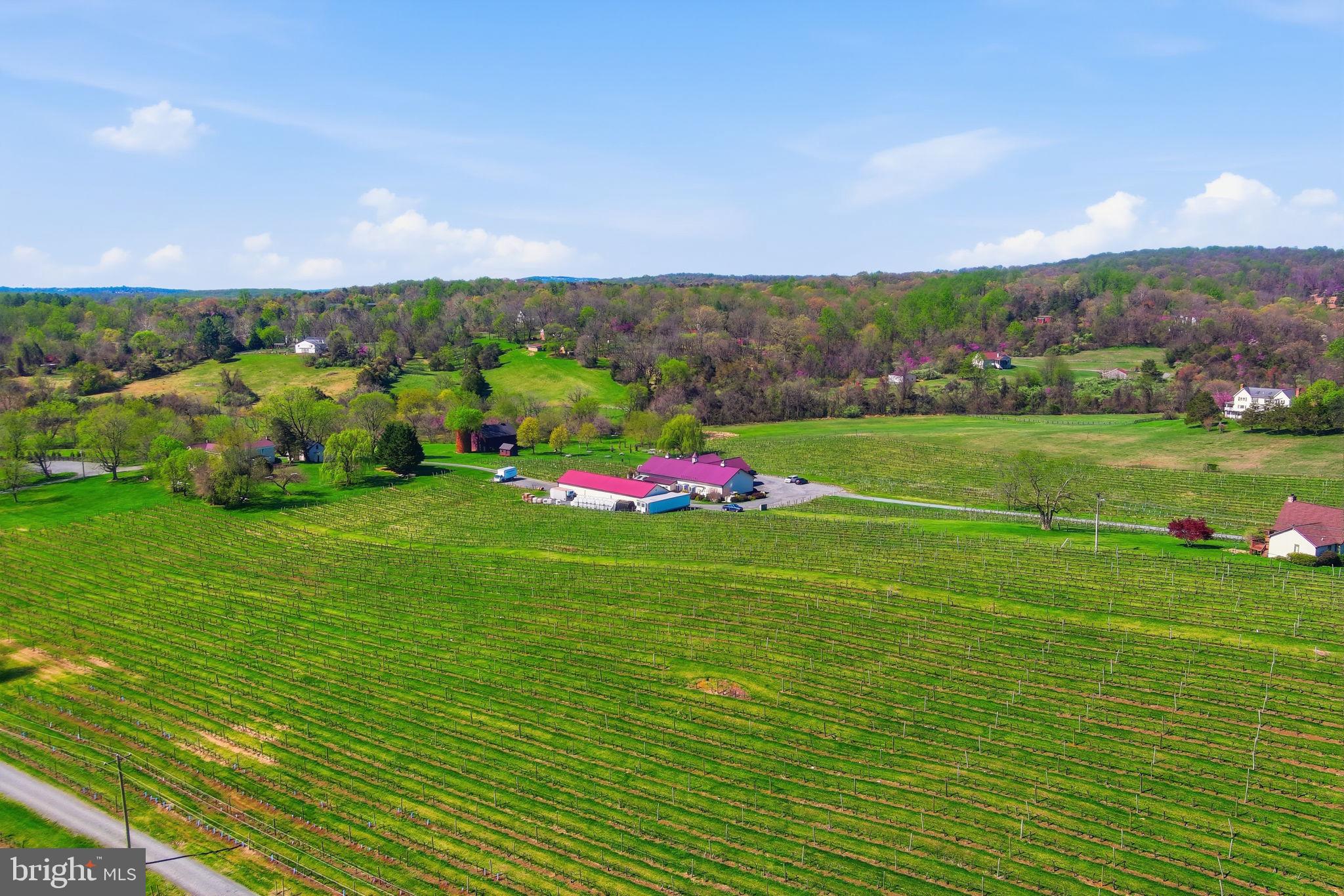 6163 Georgetown Road Broad Run, VA 20137 - Photo 77 of 94