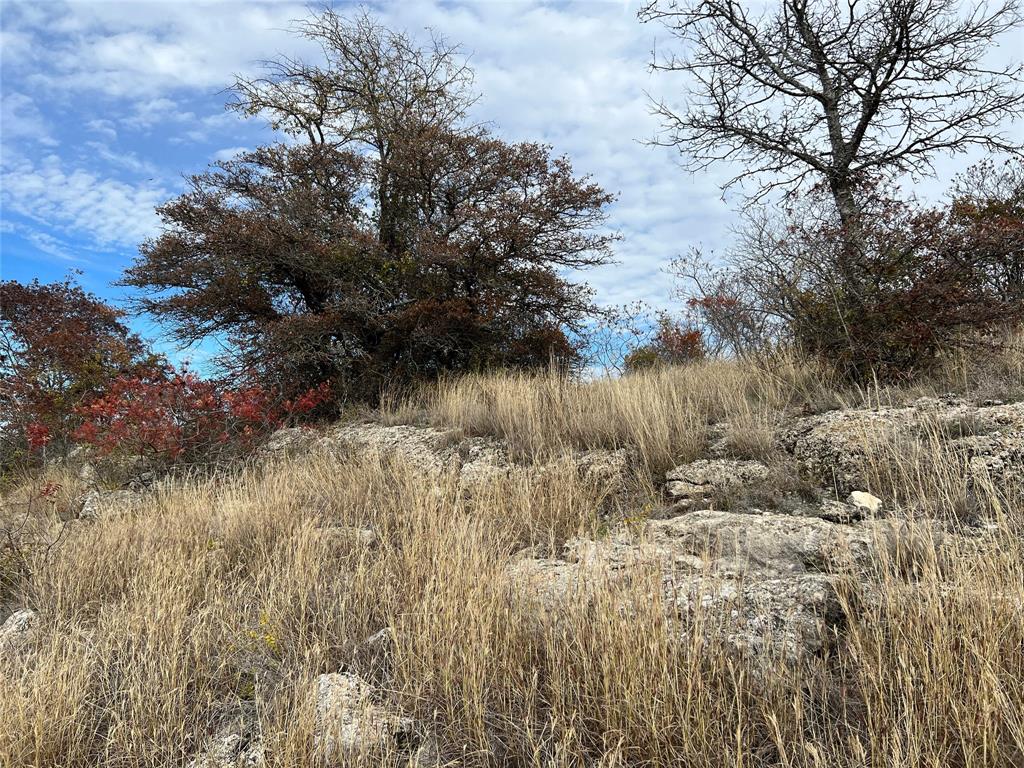 Lot 24 Pr 6332 Hamilton Tx