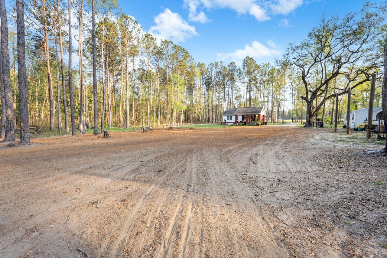 265 Still Road Monticello, FL 32344 - Photo 6 of 41 Gallery Image 6