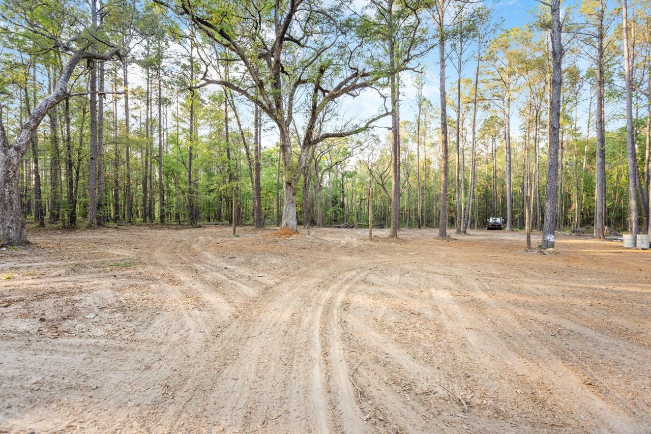265 Still Road Monticello, FL 32344 - Photo 8 of 41 Gallery Image 8