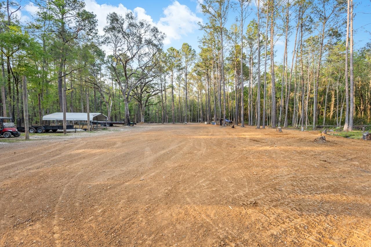 265 Still Road Monticello, FL 32344 - Photo 10 of 41 Gallery Image 10