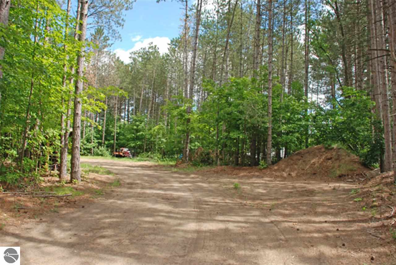 975 North Thompsonville Road Beulah, MI 49617 - Photo 26 of 33 1774896-25.JPG