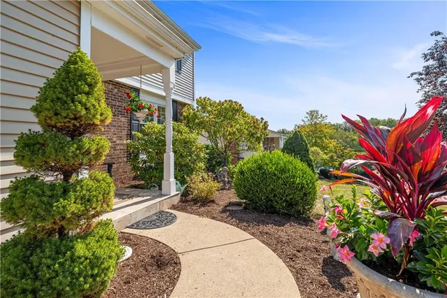 a view of a backyard with potted plants