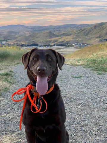 $724,500 | 6725 South Kirsten Way, Unit 929, Eagle, ID 83714