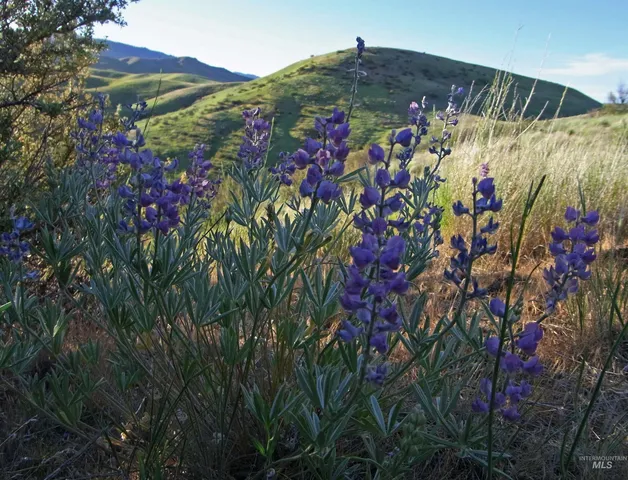 $724,500 | 6725 South Kirsten Way, Unit 929, Eagle, ID 83714