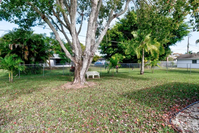 a view of a tree in a park