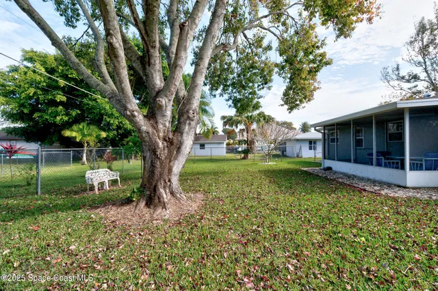 a view of a house with backyard and a tree
