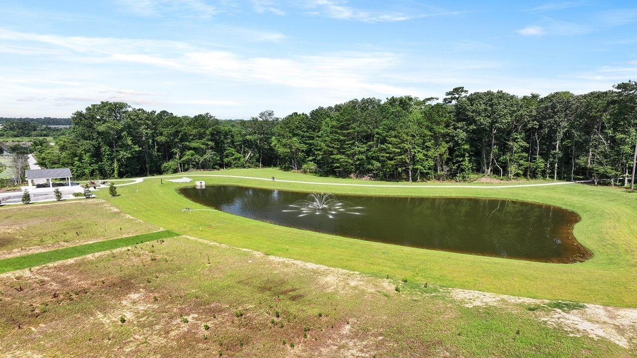 315 Bluebell Way Moncks Corner, SC 29461 - Photo 10 of 26 26_ru4a7061