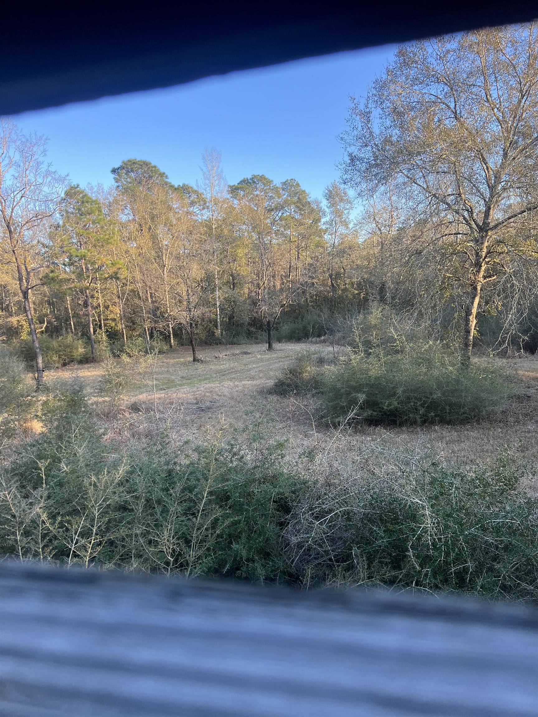 0 Cactus Court Elberta, AL 36530 - Photo 4 of 24 Yard