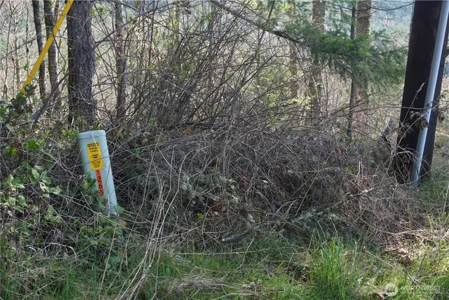 $44,500 | 50215 146th Avenue East, Eatonville, WA 98328