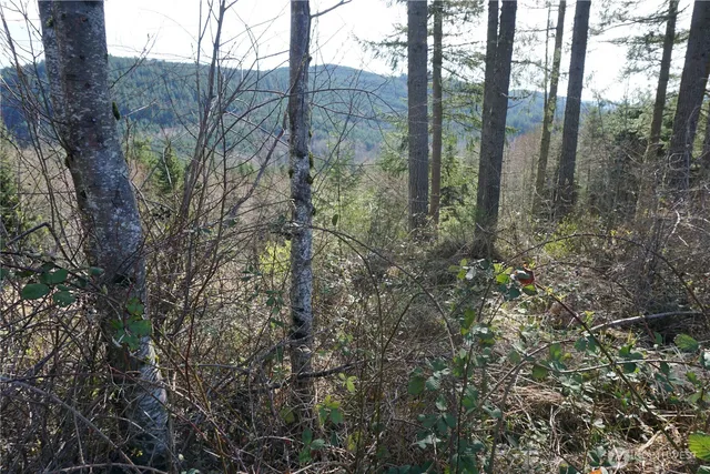 $44,500 | 50215 146th Avenue East, Eatonville, WA 98328