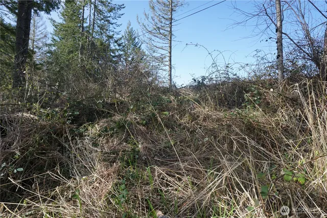 $44,500 | 50215 146th Avenue East, Eatonville, WA 98328