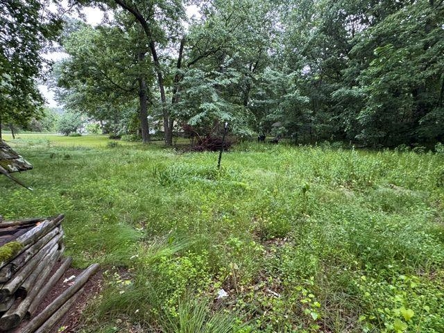 N5523 County Road West Wild Rose, WI 54984 - Photo 1 of 10