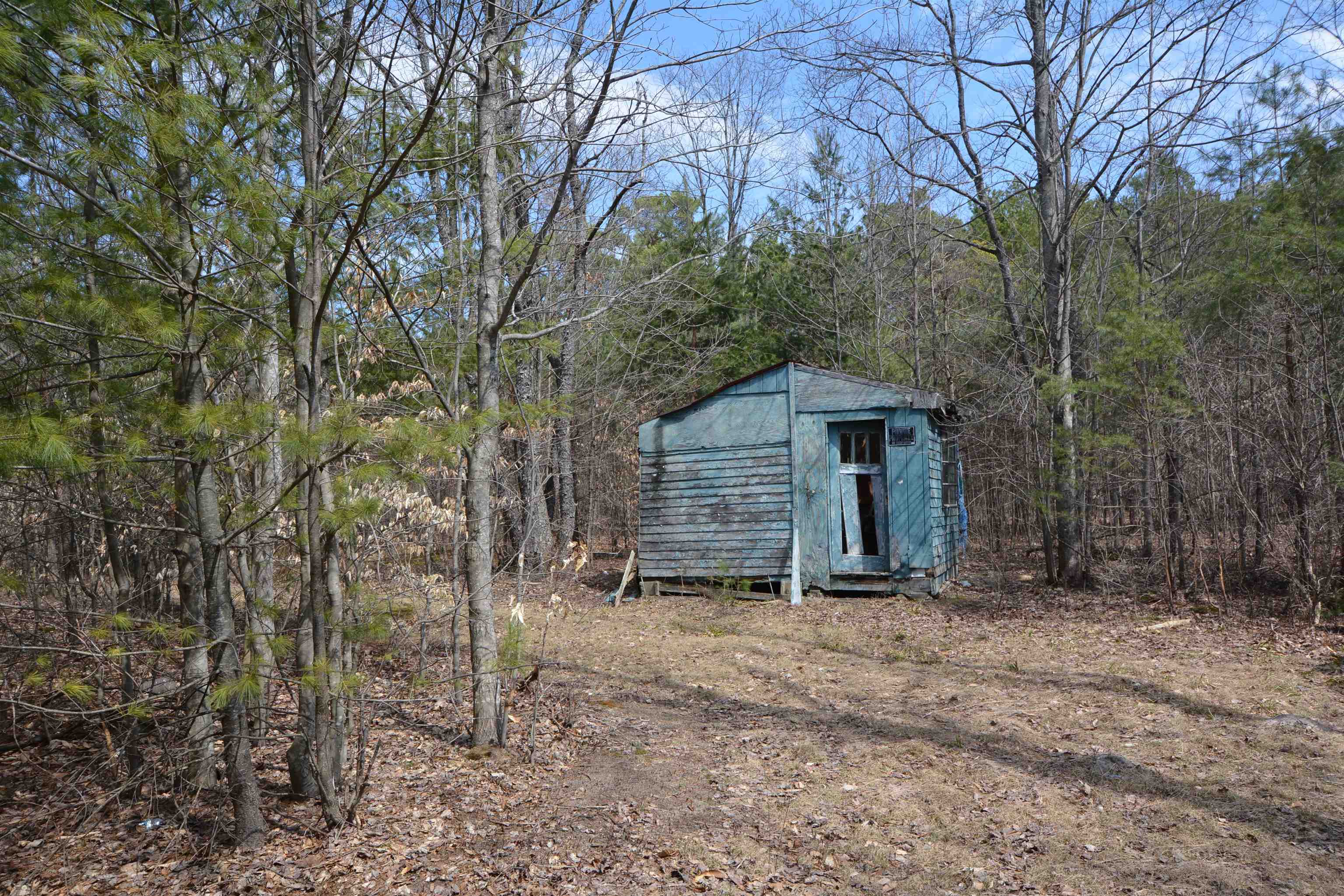 0 South Weldon Road Beulah, MI 49617 - Photo 8 of 11