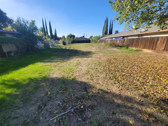 a view of a yard with large trees