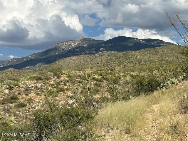 8167 South Pistol Hill Road Vail, AZ 85641 - Photo 26 of 36