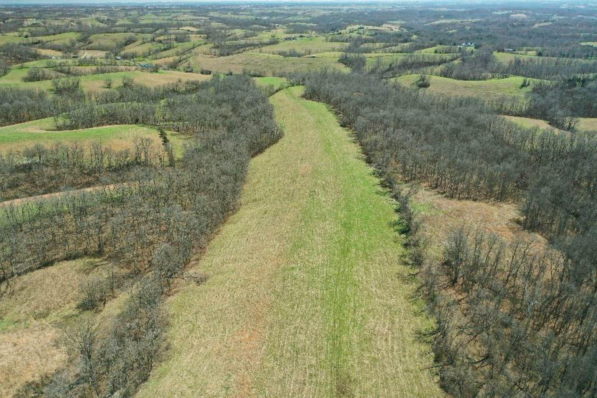 1300 Lower Concord Road Carlisle, KY 40311 - Photo 10 of 41 Drone