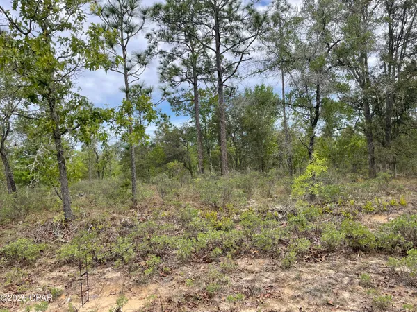 $19,000 | Lot 10 Aquarius Drive, Chipley, FL 32428