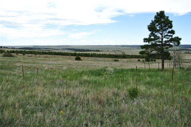 13925 Double Tree Ranch Circle Elbert, CO 80106 - Photo 12 of 33