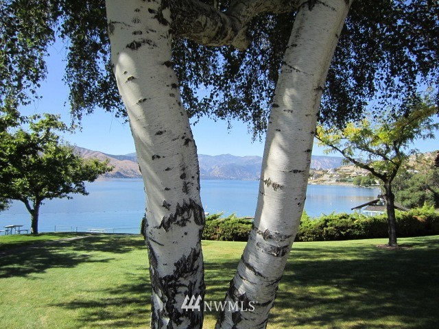 116 Riviera Place Chelan, WA 98816 - Photo 10 of 13 Gallery Image 10