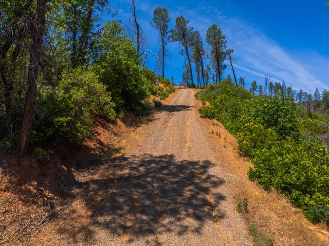 a view of a yard in a yard