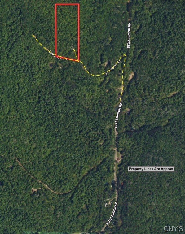 Bent Dipper Road Ceres, NY 14721 - Photo 3 of 27 Gallery Image 3