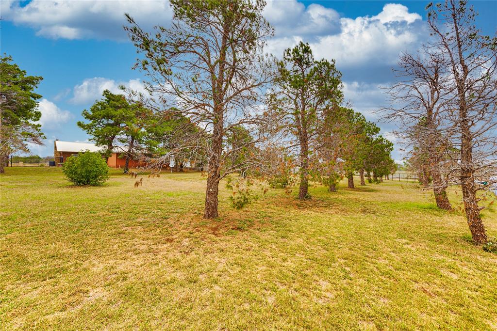 2617 Fm 2035, Unit A Sweetwater, TX 79556 - Photo 19 of 33 View of yard