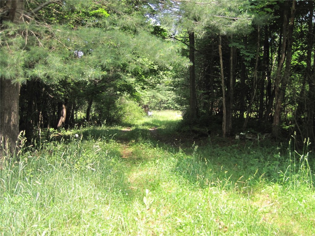 Driveway into this property