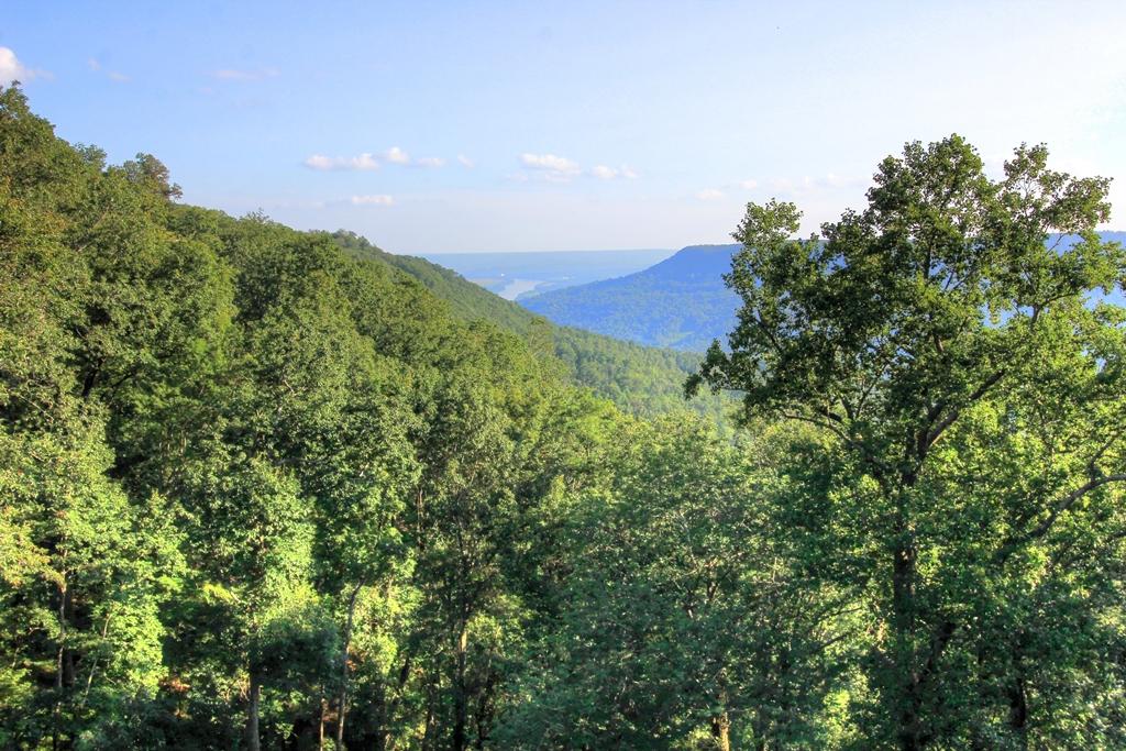 208 Cash Cave Road, Unit 19 Jasper, TN 37347 - Photo 29 of 54 Raulston Falls (10)