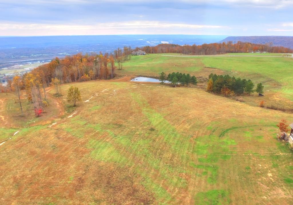 208 Cash Cave Road, Unit 19 Jasper, TN 37347 - Photo 4 of 54 Lot 19 (4)
