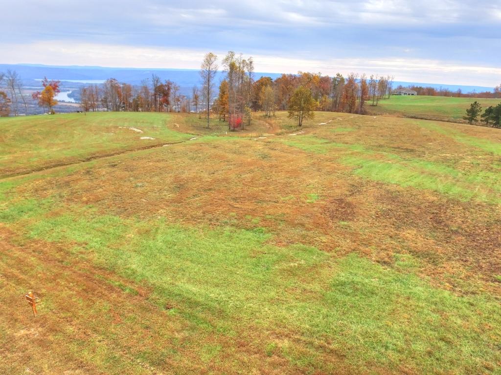 208 Cash Cave Road, Unit 19 Jasper, TN 37347 - Photo 6 of 54 Lot 19 (2)