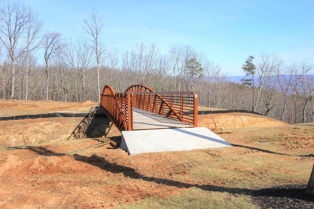 208 Cash Cave Road, Unit 19 Jasper, TN 37347 - Photo 52 of 54 Pat's Summitt (16)