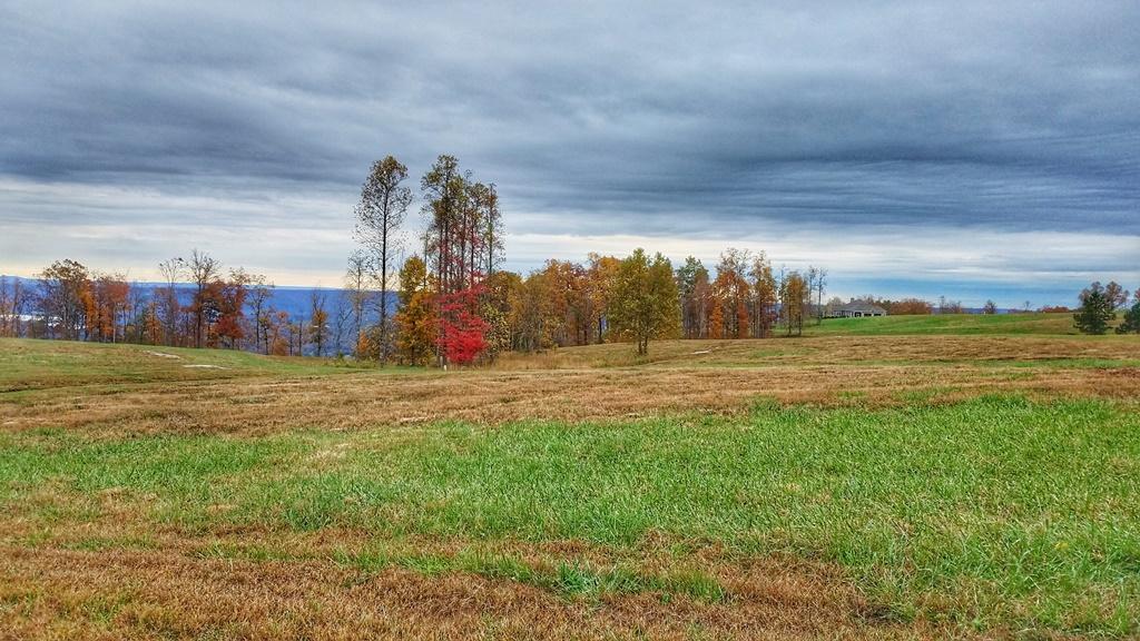 208 Cash Cave Road, Unit 19 Jasper, TN 37347 - Photo 7 of 54 Lot 19 (2)