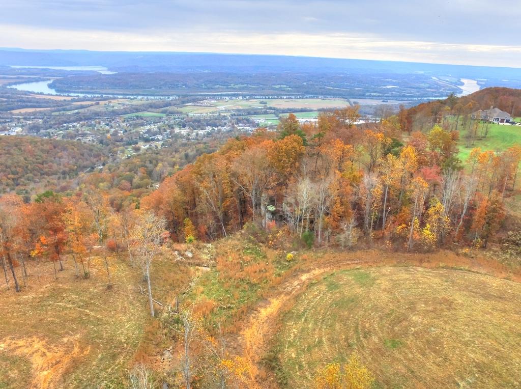 208 Cash Cave Road, Unit 19 Jasper, TN 37347 - Photo 8 of 54 Lot 19 (19)