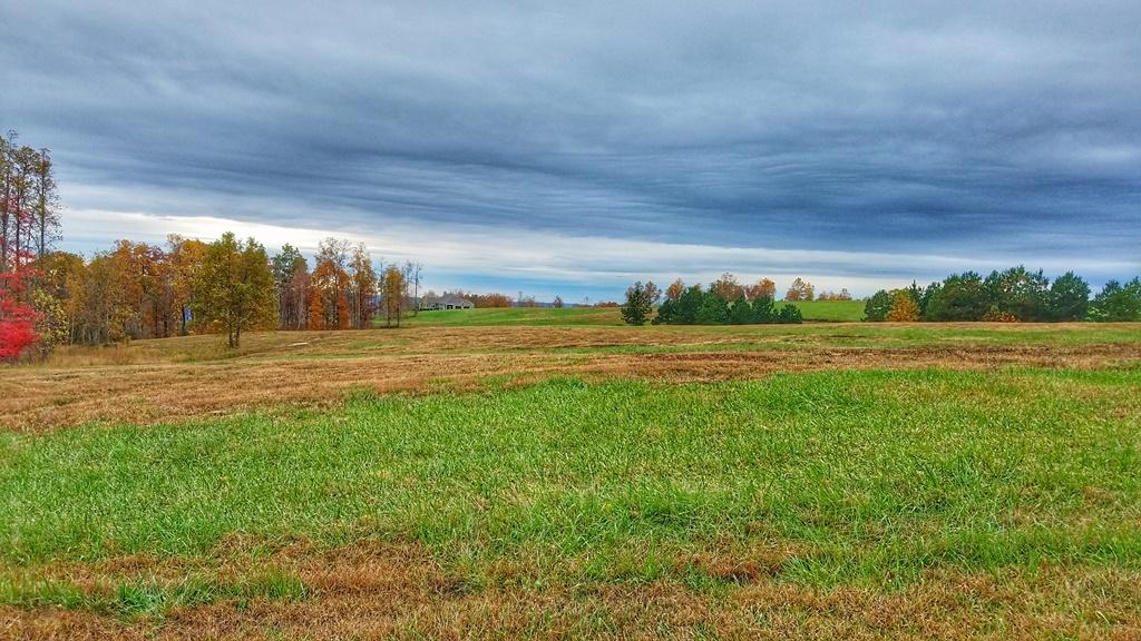 208 Cash Cave Road, Unit 19 Jasper, TN 37347 - Photo 9 of 54 Lot 19 (4)