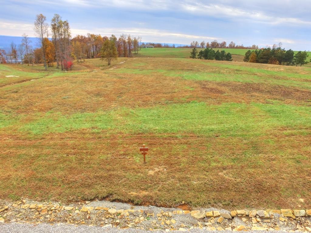 208 Cash Cave Road, Unit 19 Jasper, TN 37347 - Photo 10 of 54 Lot 19 (1)