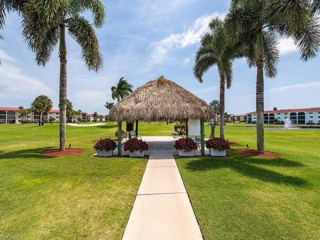 a view of a park with palm trees