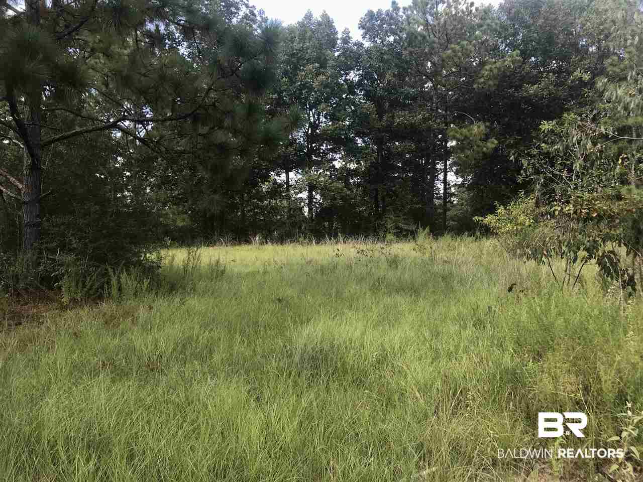 8480 Sand Ridge Road Citronelle, AL 36522 - Photo 5 of 8