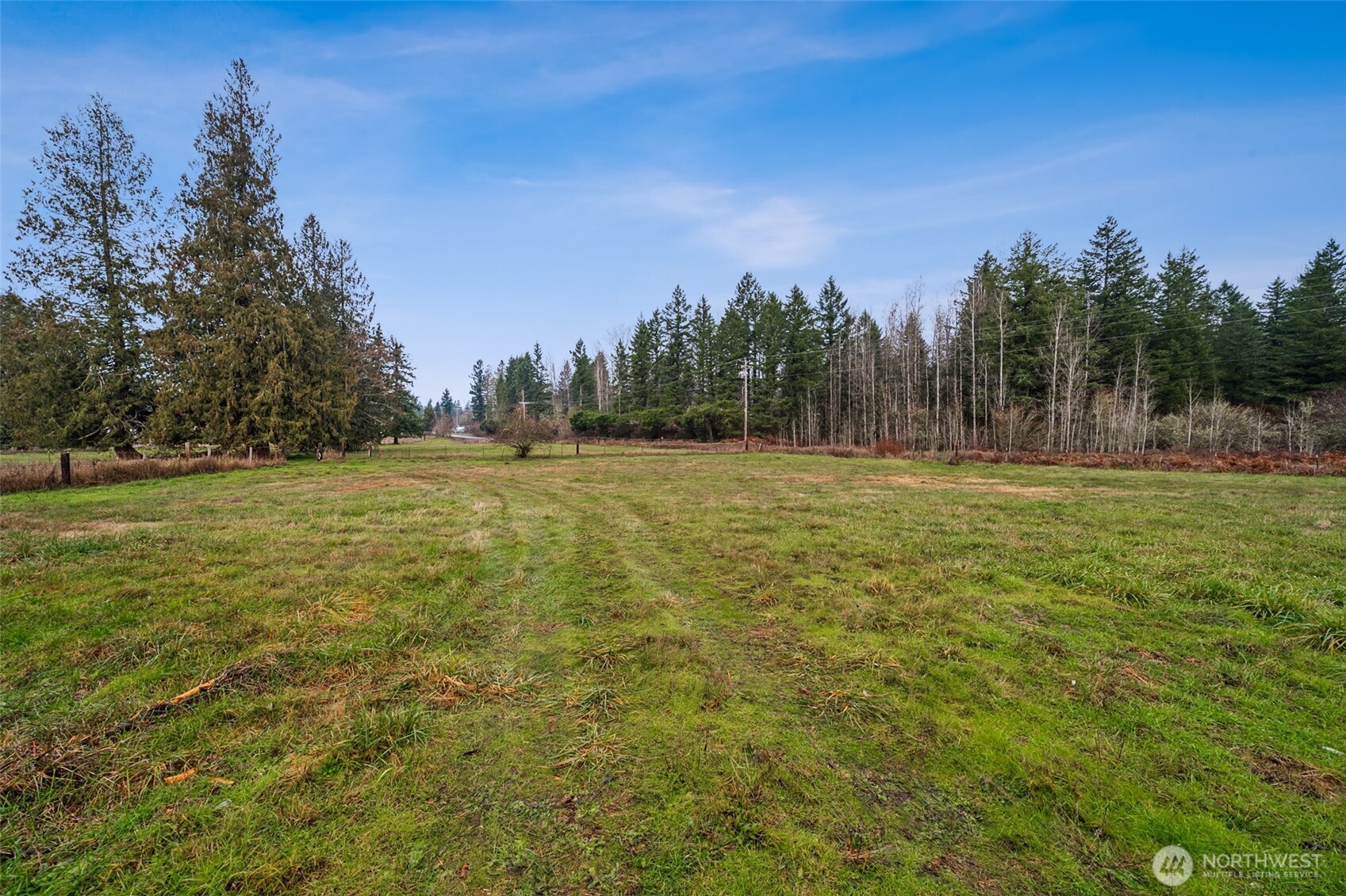 35120 Kinsman Road East Roy, WA 98580 - Photo 26 of 40 a view of outdoor space with trees all around