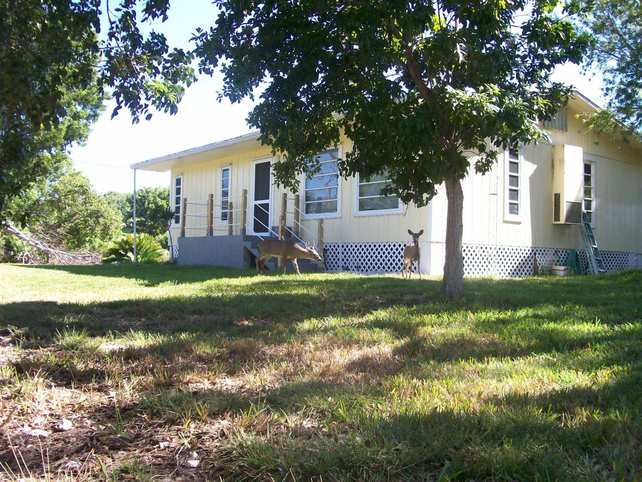 30380 Racoon Run Big Pine Key, FL 33043 - Photo 1 of 12 Gallery Image 1