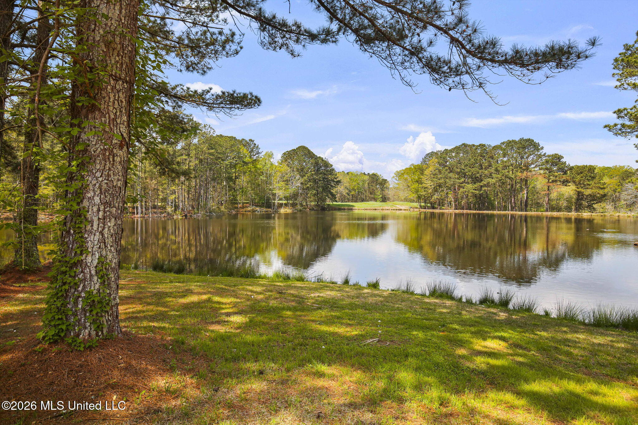 3079 Shiloh Road Pelahatchie, MS 39145 - Photo 50 of 81 50-web-or-mls-3079 Shiloh-50