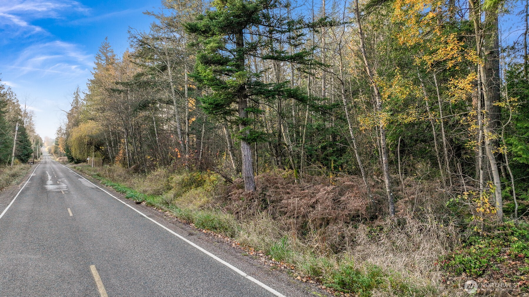 2160 H Street Road Blaine, WA 98230 - Photo 13 of 22 a view of a forest view