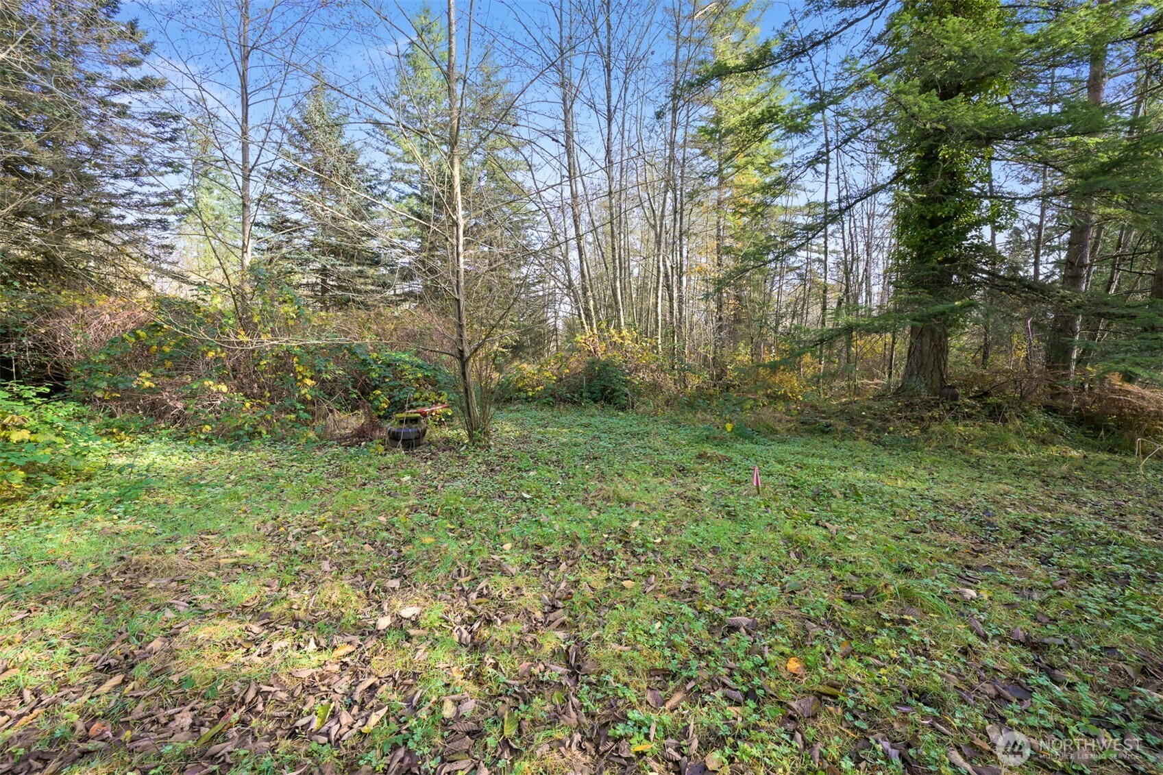 2160 H Street Road Blaine, WA 98230 - Photo 15 of 22 a big yard with lots of green space and house