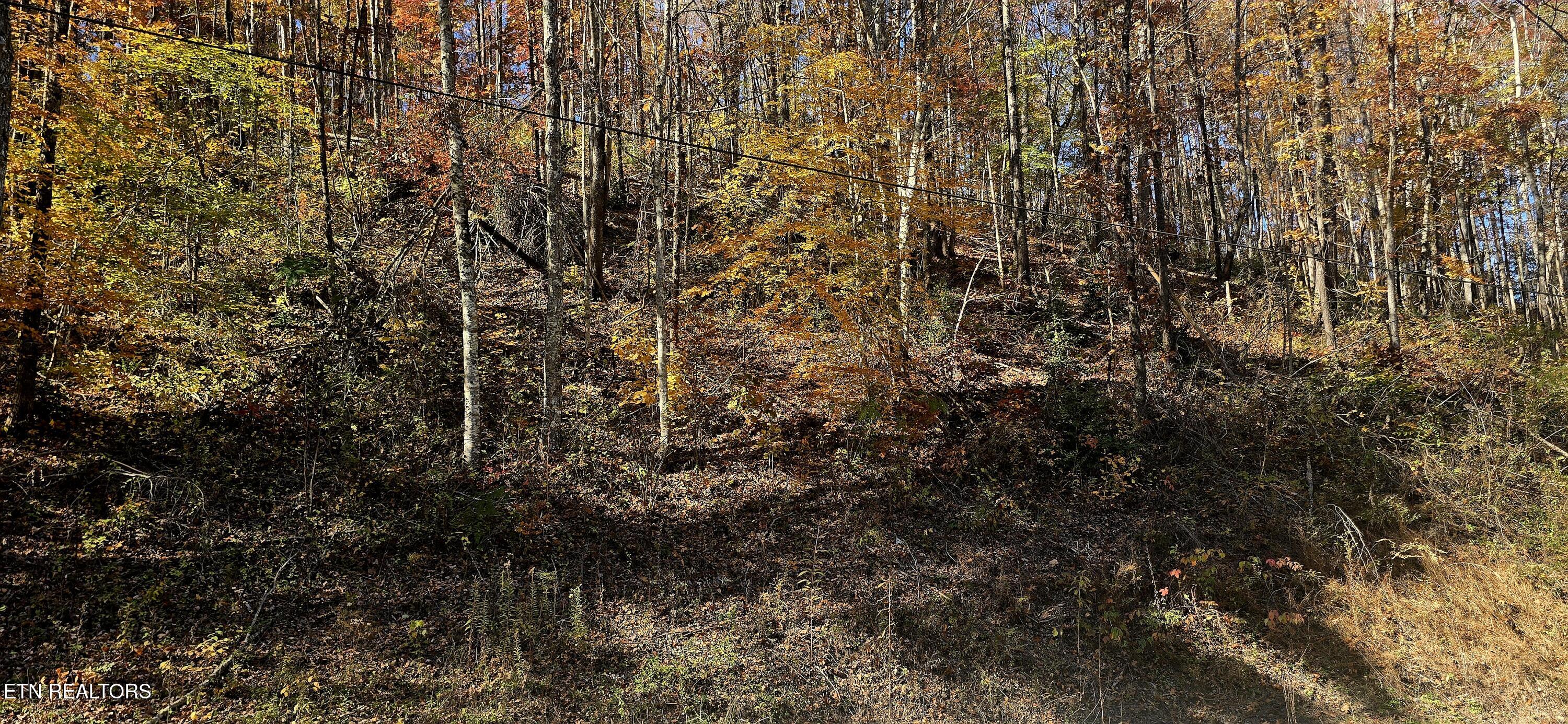 Emerald Springs Loop Sevierville, TN 37862 - Photo 6 of 19 20251106_122107